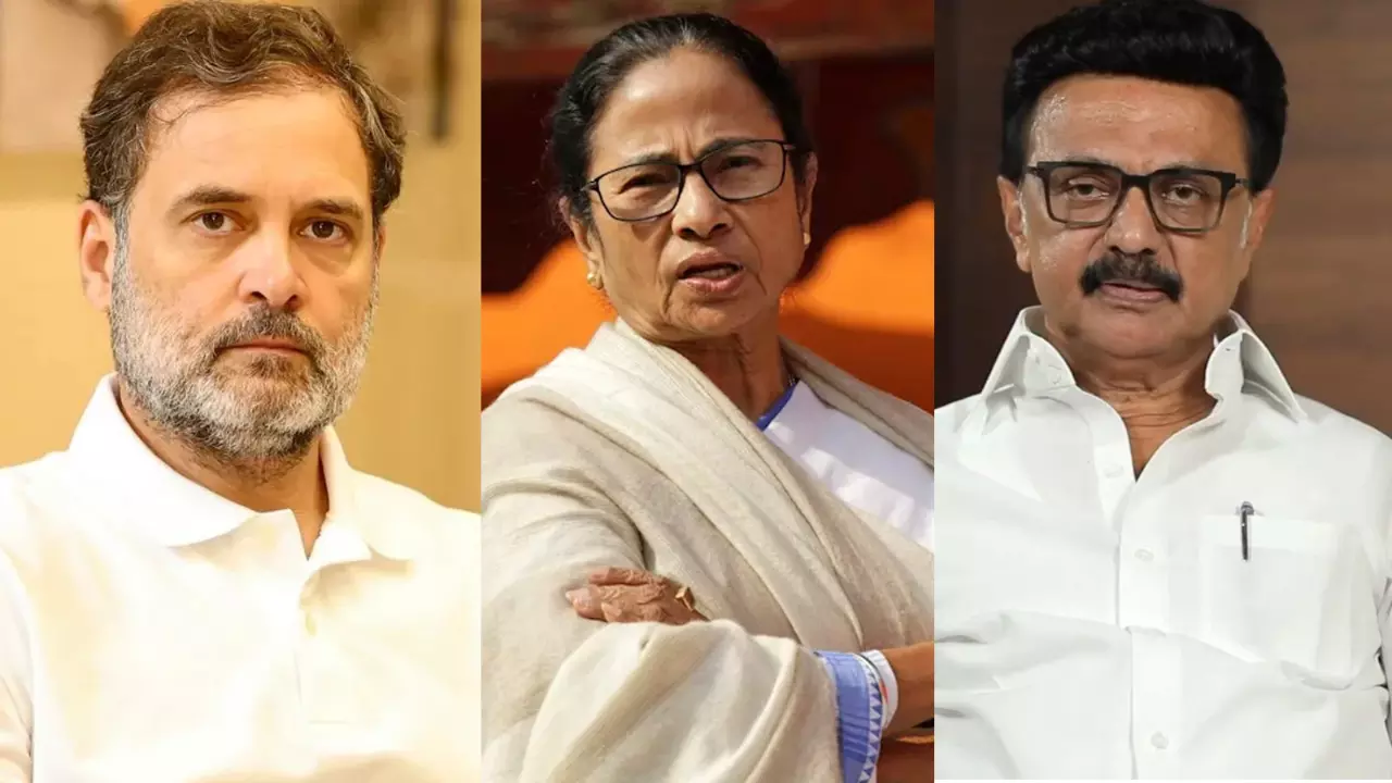 Rahul Gandhi, Mamata Banerjee, MK Stalin