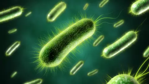 Shigella alert: Kerala govt to hold talks as 2 Wayanad students test positive Shigella alert: Kerala govt to hold talks as 2 Wayanad students test positive