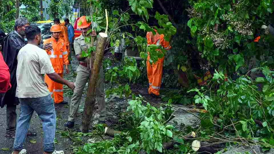 IMD issues orange alert in six Kerala districts amid heavy rain