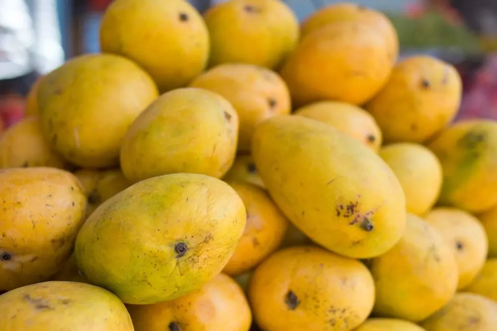 Mangoes Mangoes
