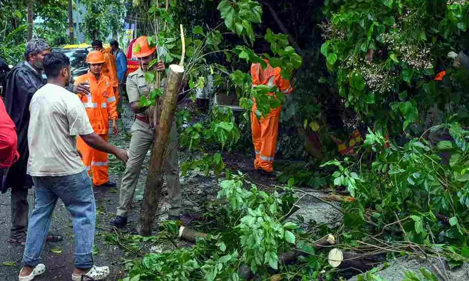 IMD issues orange alert in six Kerala districts amid heavy rain IMD issues orange alert in six Kerala districts amid heavy rain