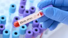 Ebola cases cross 3,200 as Bundibugyo outbreak spreads to Uganda, vaccine trial underway