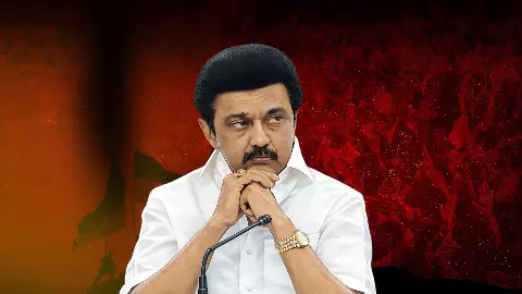 DMK Alone? Stalins Big Gamble DMK Alone? Stalins Big Gamble
