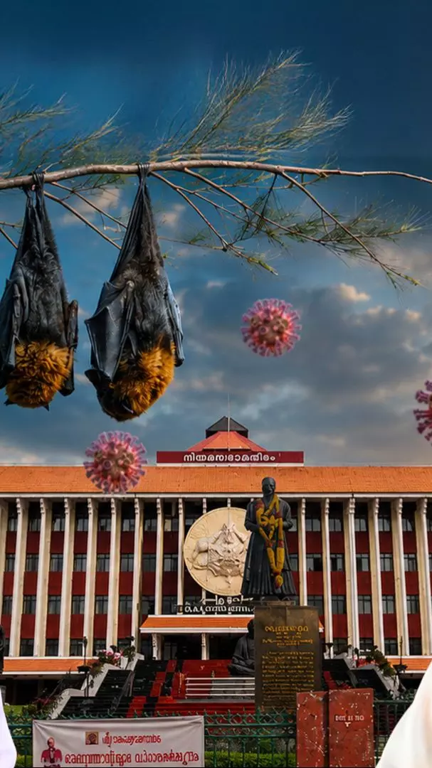 Health workers and officials monitor Nipah, Shigella and monsoon disease outbreaks in Kerala