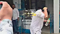 egg-ocracy egg justice, west bengal tmc