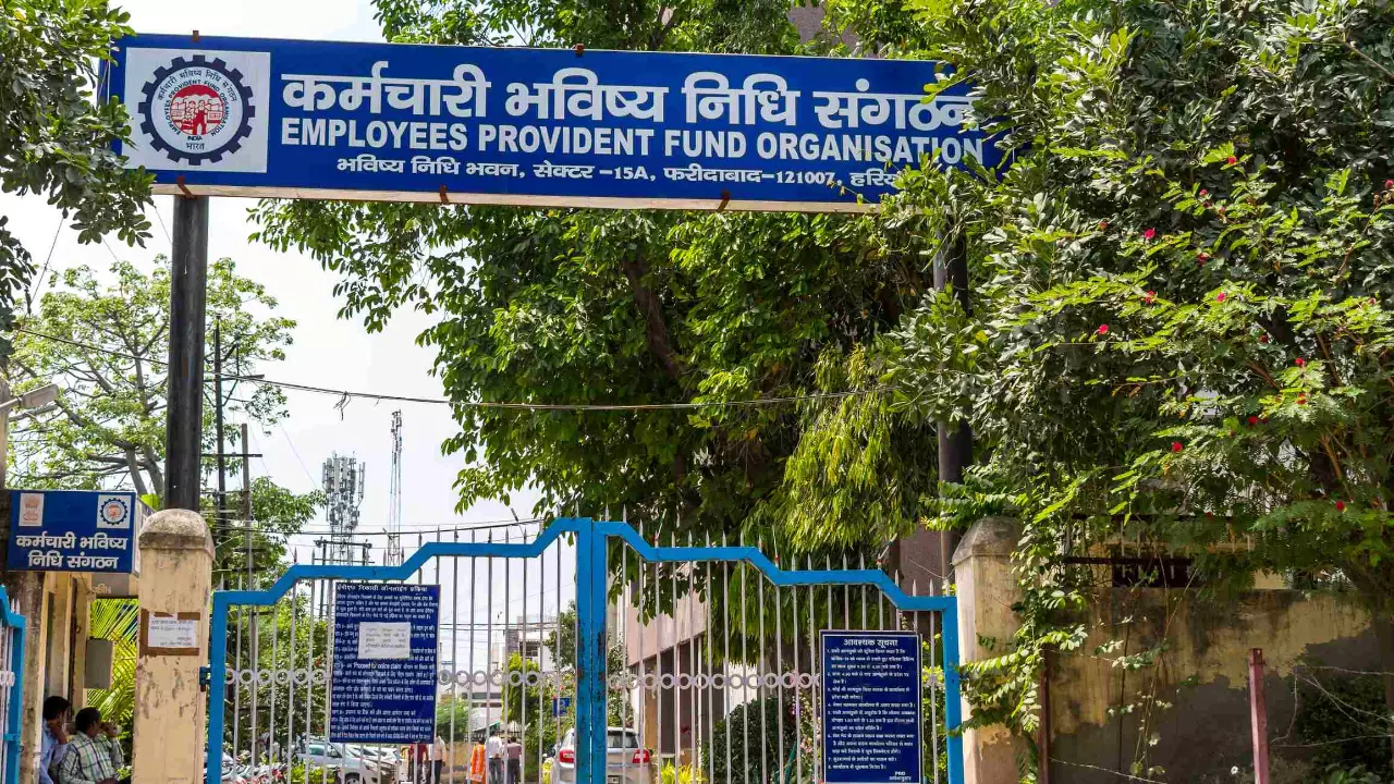 EFFO office