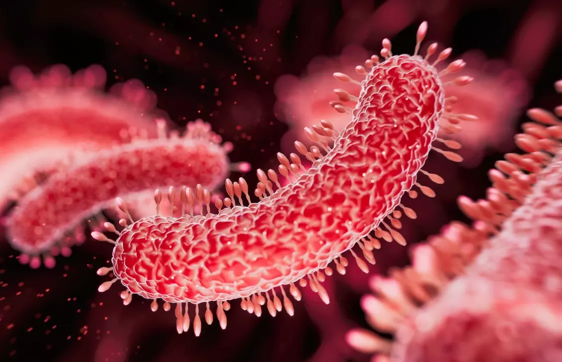 Kerala logs 110 Shigella cases in June amid Nipah scare Kerala logs 110 Shigella cases in June amid Nipah scare