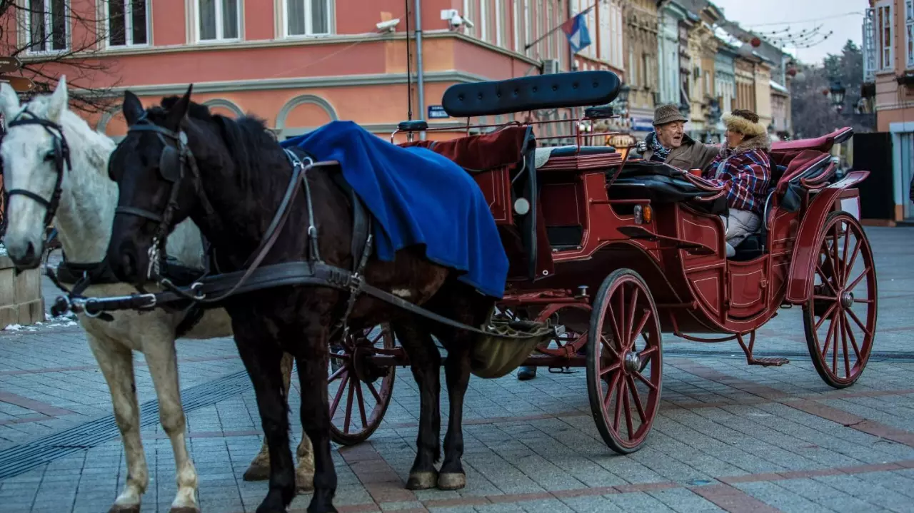 Horse-drawn carriage