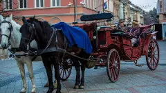 Horse-drawn carriage Horse-drawn carriage