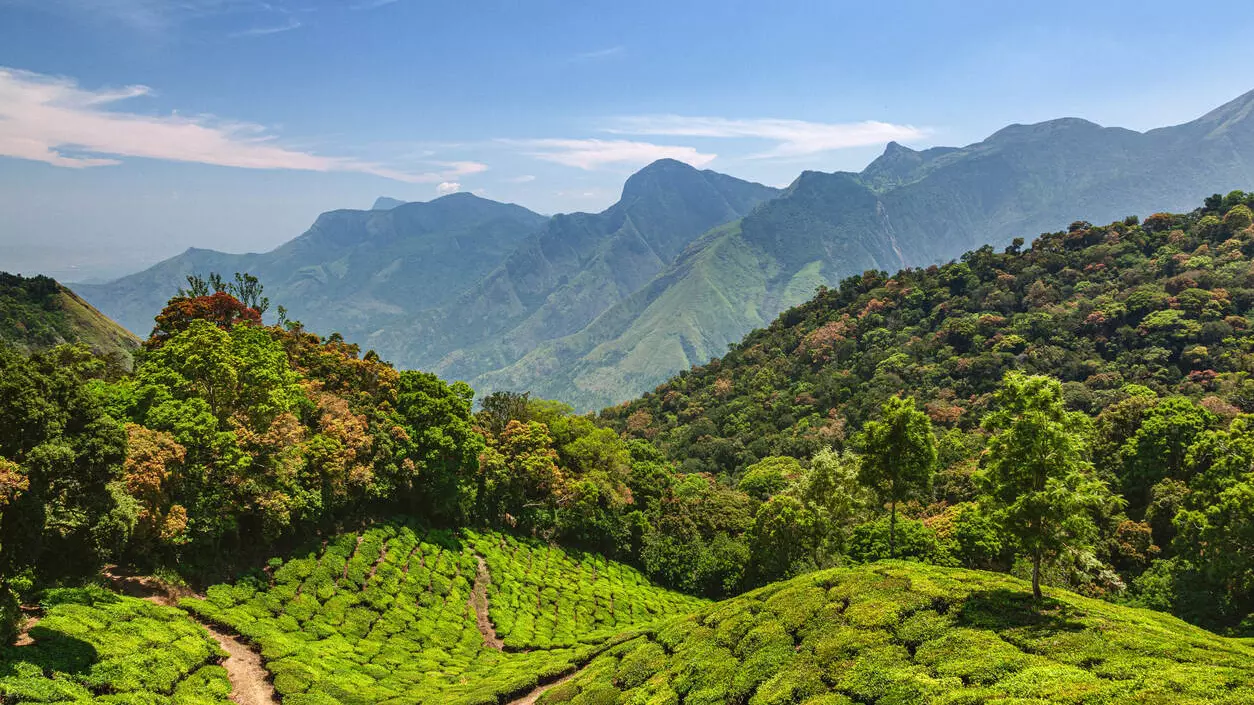 Centre readies second draft notification on ESA in Western Ghats; 3 states in focus