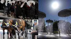 Europe sizzles under record heatwave as France records 1,000 excess deaths
