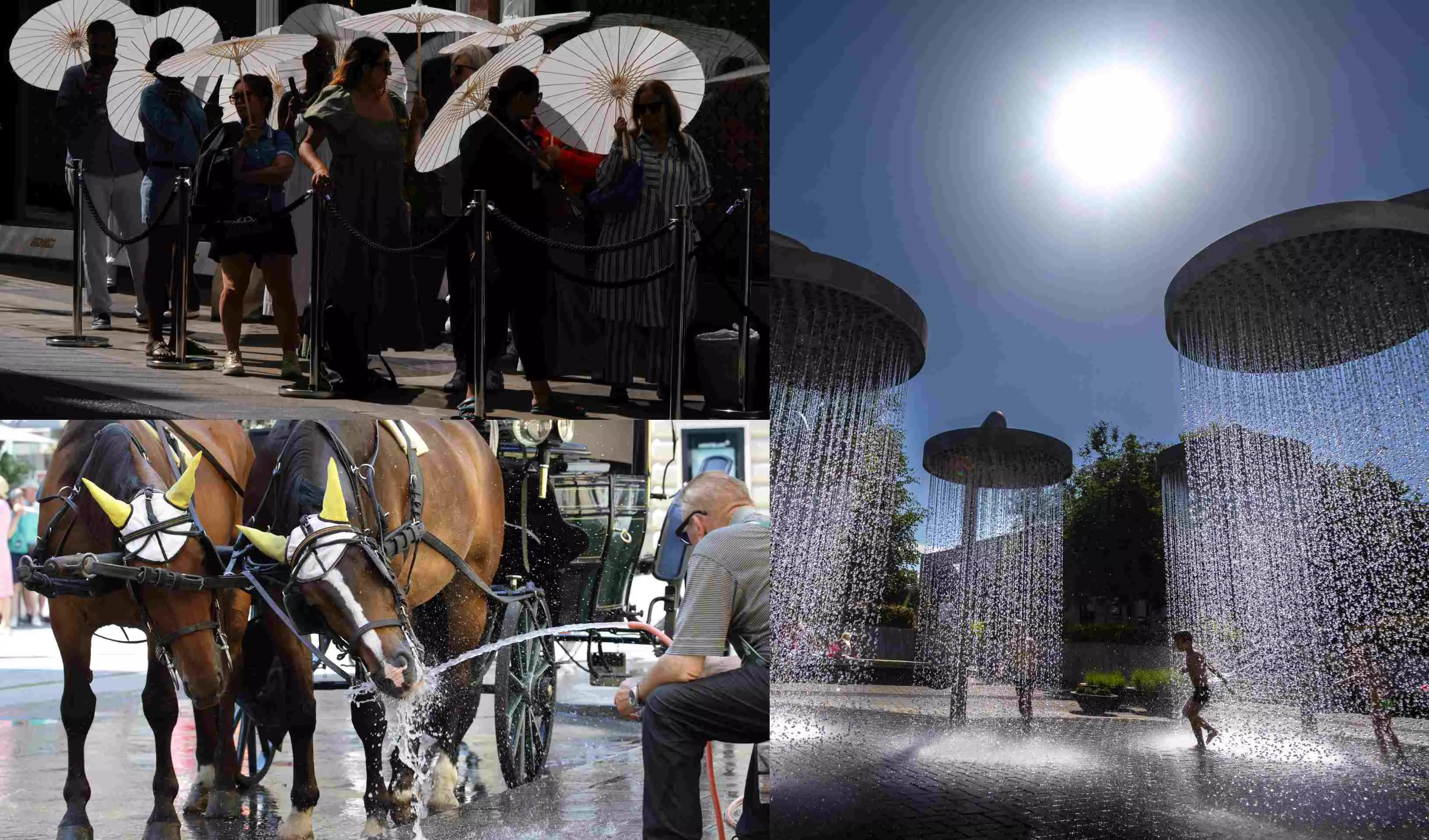 Europe sizzles under record heatwave as France records 1,000 excess deaths Europe sizzles under record heatwave as France records 1,000 excess deaths