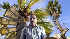 Palm Tree in Thoothukudi Palm Tree in Thoothukudi