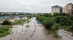 Rain