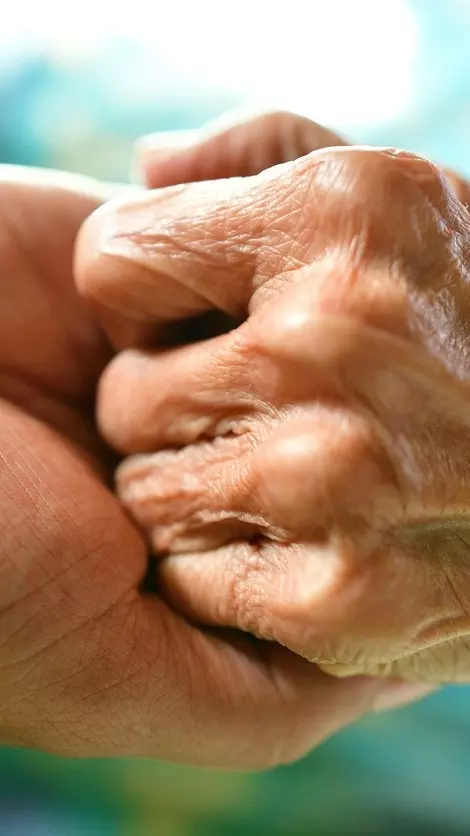 Elderly parental care Elderly parental care