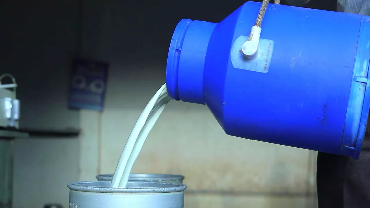 Adulterated milk