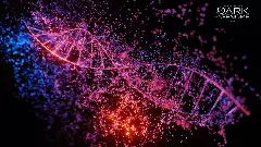How the dark genome, so long treated as junk DNA, is changing our understanding of evolution