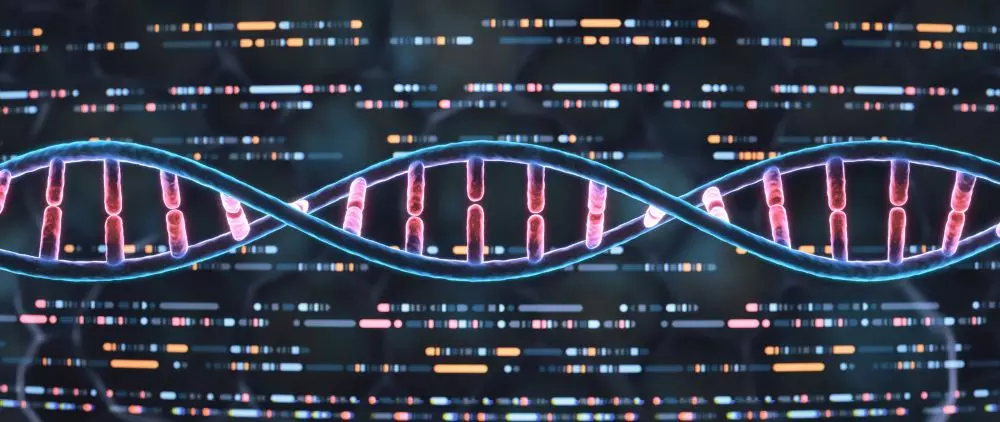 Sudhakaran Prabakaran and his team have catalogued non-canonical proteins from outside conventional boundaries of genes, revealing that parts of genome once dismissed as junk can produce unrecognised biological molecules. Photo: iStock Sudhakaran Prabakaran and his team have catalogued non-canonical proteins from outside conventional boundaries of genes, revealing that parts of genome once dismissed as junk can produce unrecognised biological molecules. Photo: iStock