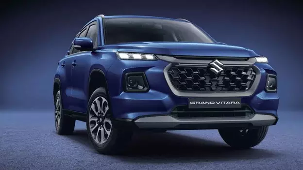Maruti Suzuki Grand Vitara case consumer court ruling Maruti Suzuki Grand Vitara case consumer court ruling