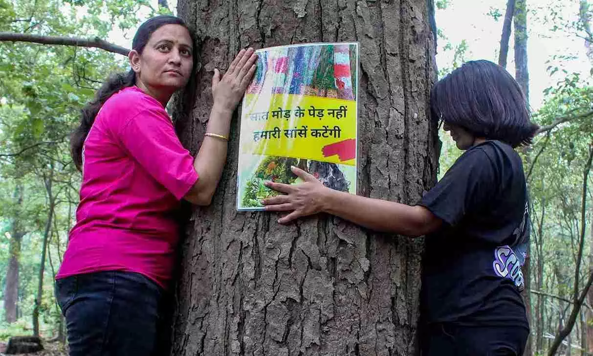 Dhami halts tree felling for Rishikesh-Bhaniyawala 4-lane project after prolonged protests Dhami halts tree felling for Rishikesh-Bhaniyawala 4-lane project after prolonged protests