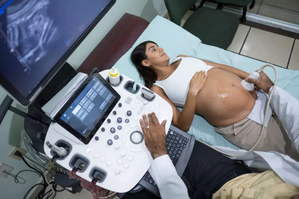 India passed the Assisted Reproductive Technology (Regulation) Act in 2021, but many experts feel it requires strengthening. Photo: iStock India passed the Assisted Reproductive Technology (Regulation) Act in 2021, but many experts feel it requires strengthening. Photo: iStock