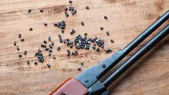 Pellets