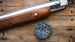 Pellet gun