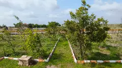 Telangana property owners cry murder as govt classifies their land as prohibited