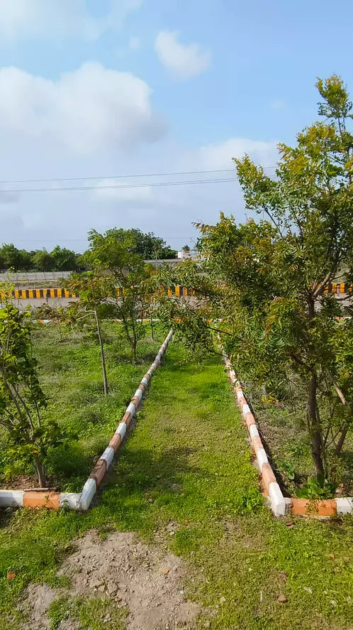Telangana property owners cry murder as govt classifies their land as prohibited Telangana property owners cry murder as govt classifies their land as prohibited