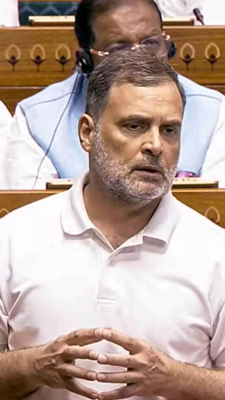 Rahul Gandhi n Lok Sabha Rahul Gandhi n Lok Sabha