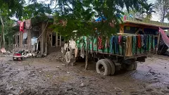 Assam flood leaves 78 dead; IMD predicts more rains till August 3