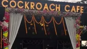 Cockroach Cafe in Nalanda, Bihar