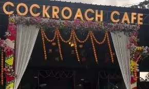 Cockroach Cafe in Nalanda, Bihar Cockroach Cafe in Nalanda, Bihar