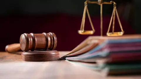 Why pendency of cases is as much a challenge for lawyers as litigants Why pendency of cases is as much a challenge for lawyers as litigants