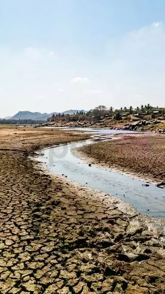 As DMK-TVK slugfest rages over Udhayanidhi, farmers ask: What about Cauvery water? As DMK-TVK slugfest rages over Udhayanidhi, farmers ask: What about Cauvery water?