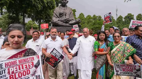 Lok Sabha protest Rahul Gandhi Lok Sabha protest Rahul Gandhi