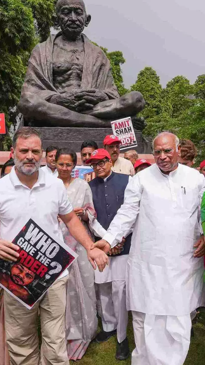 Lok Sabha protest Rahul Gandhi Lok Sabha protest Rahul Gandhi