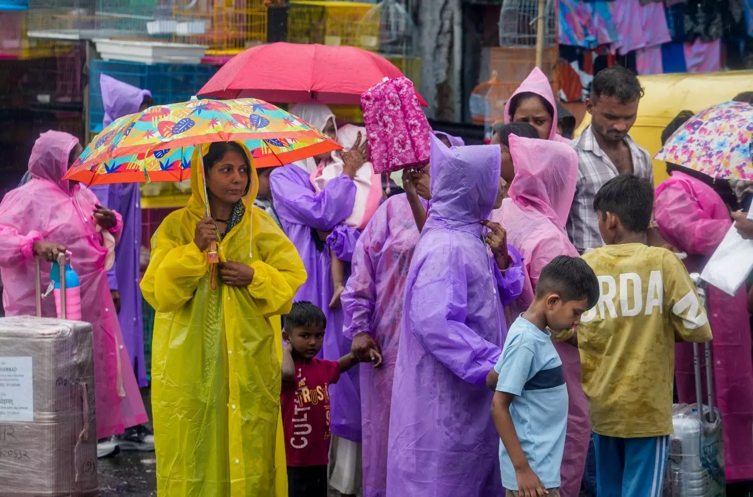 Delhi rain Delhi rain