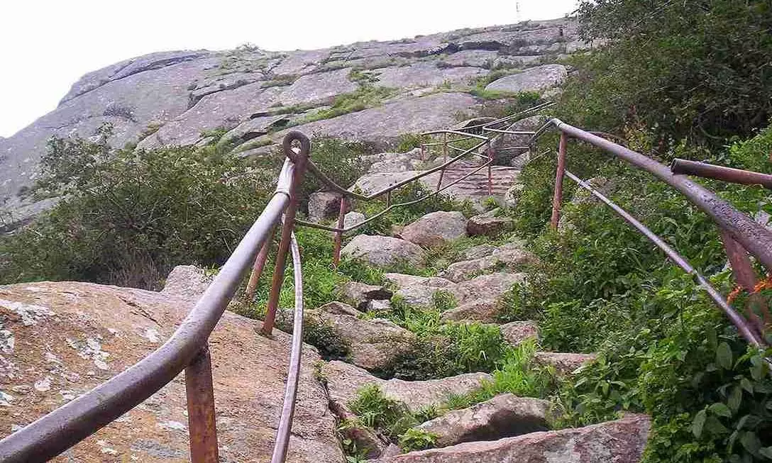 Shivagange trekker’s search record adds suicide angle to probe: Report Shivagange trekker’s search record adds suicide angle to probe: Report