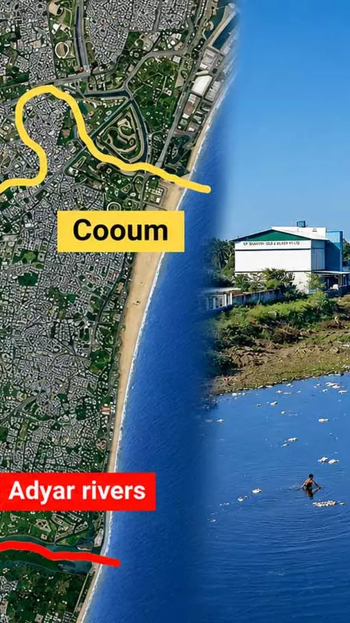 Cooum river Cooum river