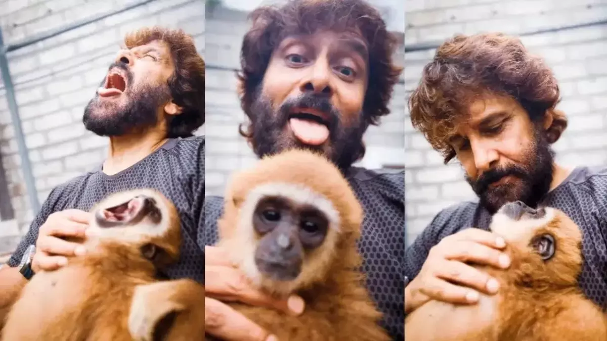 Vikram Lar Gibbon