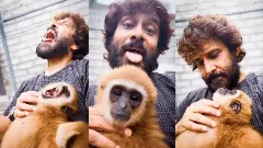 Vikram Lar Gibbon