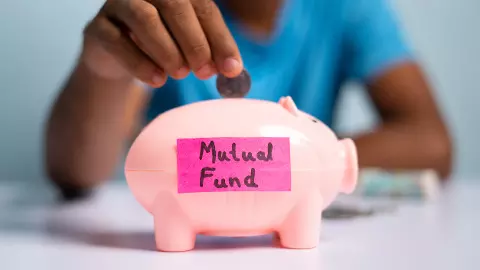 Confused between multi-cap, flexi-cap funds? Here’s what you should do Confused between multi-cap, flexi-cap funds? Here’s what you should do