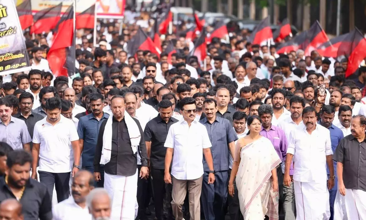 DMK DMK