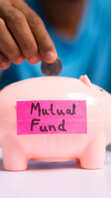 Confused between multi-cap, flexi-cap funds? Here’s what you should do Confused between multi-cap, flexi-cap funds? Here’s what you should do