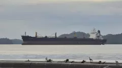 Panama-flagged cargo ship with 24 aboard sinks off Odisha port; 2 rescued