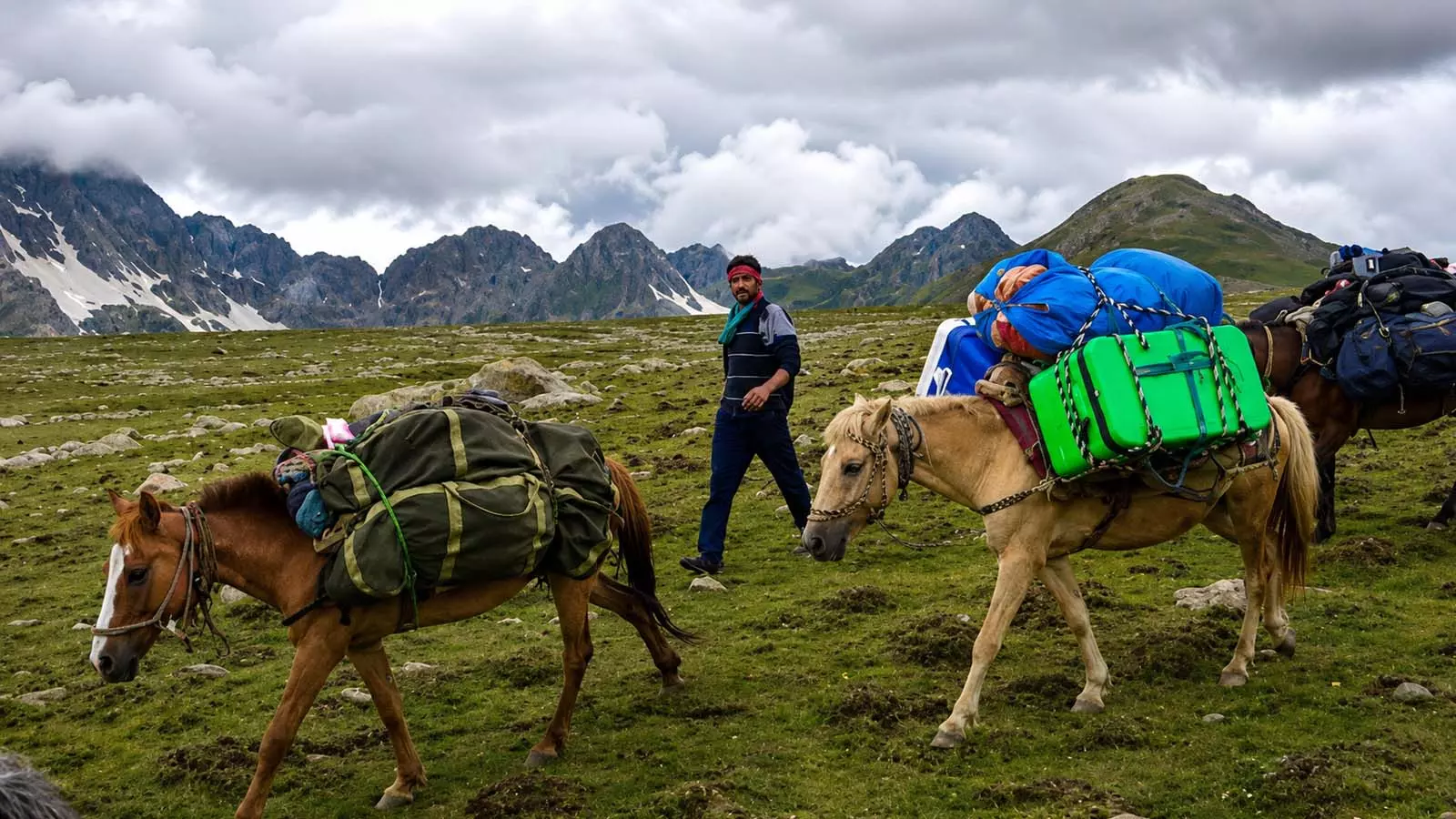 Ponywallah Shabir Ahmed walks with the horses. Photo: Basharat Amin