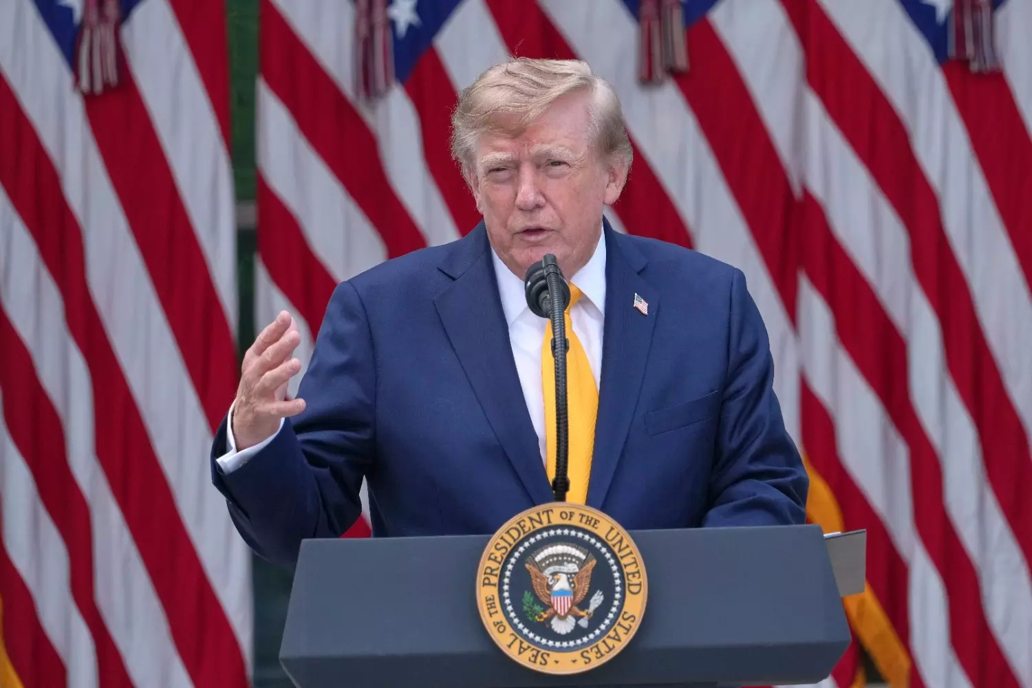 Donald Trump Donald Trump