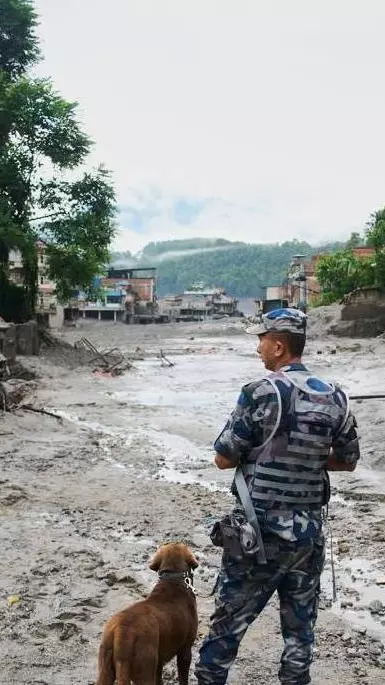 Nepal tragedy | Registration, insurance, monitoring: Checklist for high-risk travel