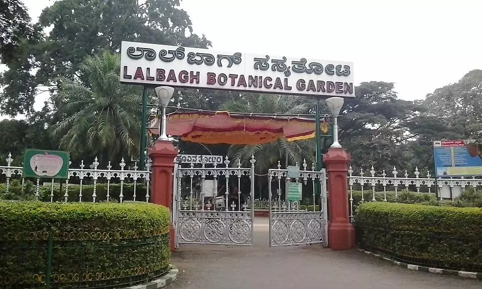 Lalbagh botanical garden Lalbagh botanical garden